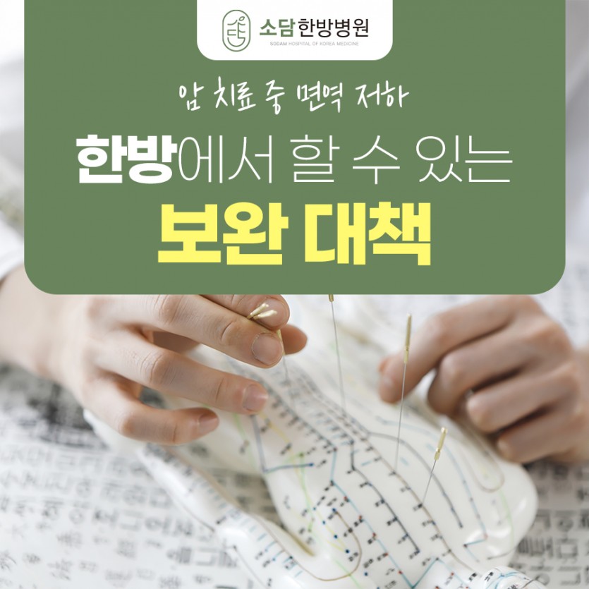 포항소담한방병원 포항한방병원