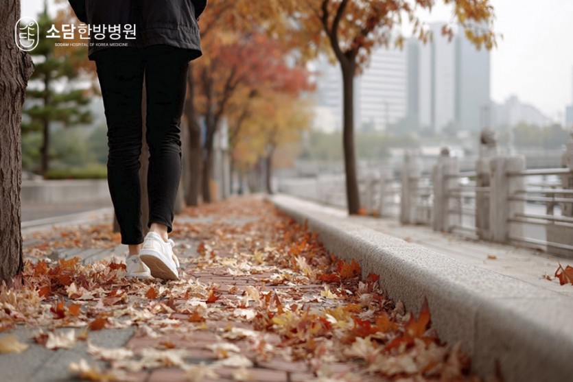 포항소담한방병원 포항한방병원